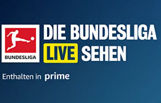 Bundesliga & 4x Relegation