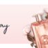SportSpar – Singles Day – 11% Rabatt auf das gesamte Sortiment (kein MBW)